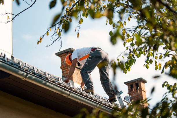 Best Sealant for Roof  in Carnegie, OK